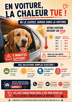 Prévention voiture
