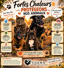Prévention chaleur