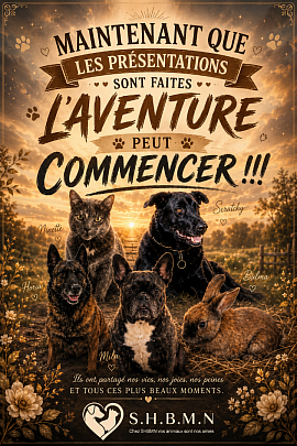 Chaque initiale reste un hommage