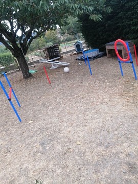 Detente et jeux chien